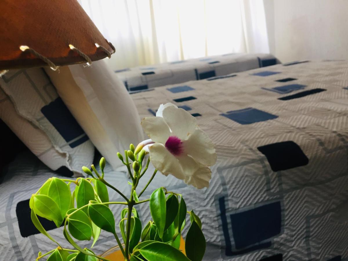 San Remo Terrazas Hotel Piriápolis Zewnętrze zdjęcie